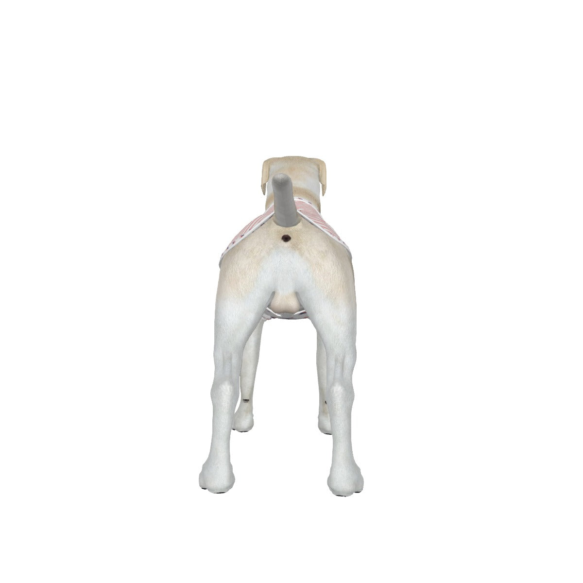 Poodle- Pink Candy Stripe- Make America Fetch Again - Big Dog's Tank Top